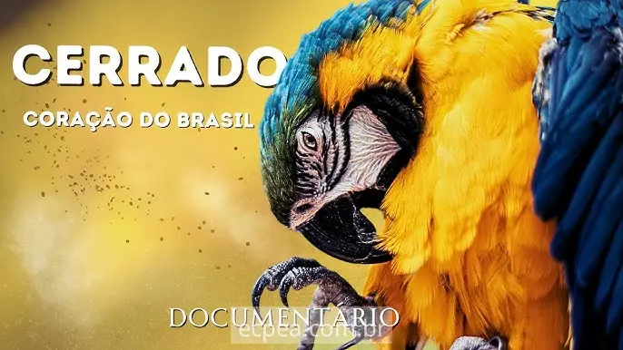 Cerrado Brasileiro: Biodiversidade, Ameaças e Estratégias de Conservação