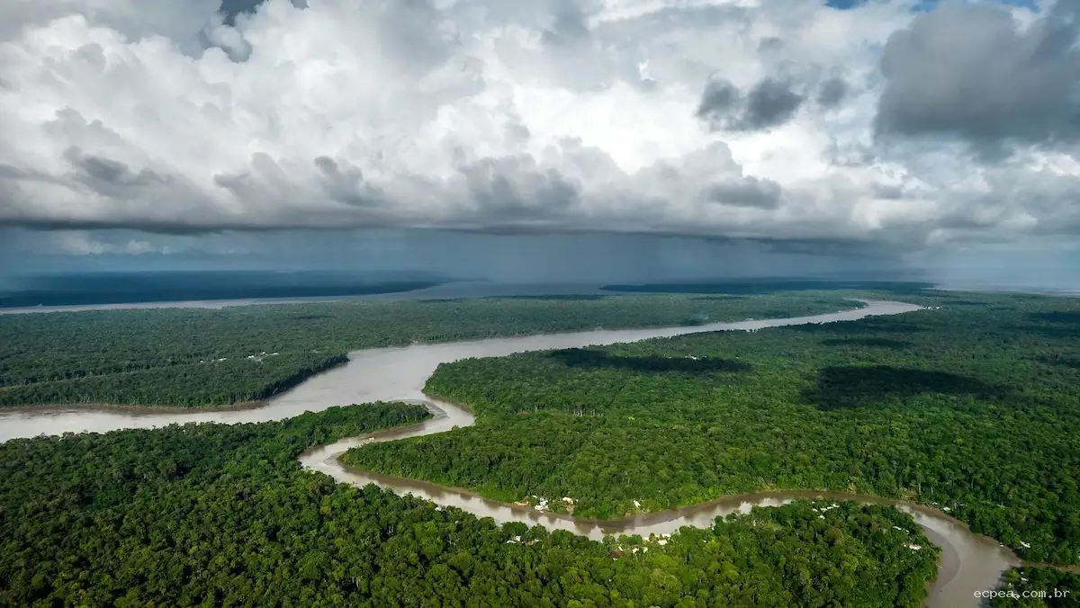 Amaz&ocirc;nia